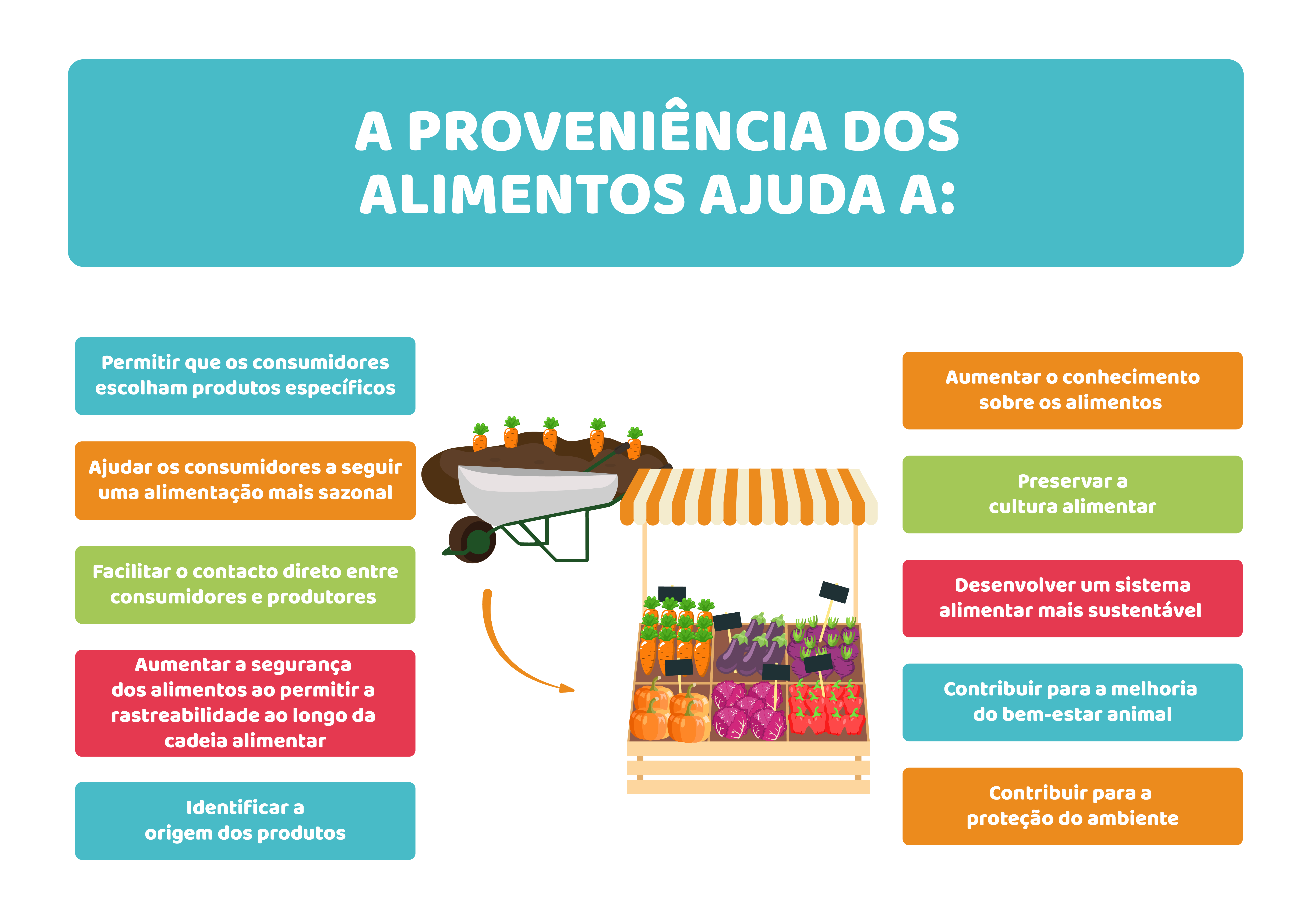 Cadeias e teias alimentares humanas: como os alimentos chegam até nós