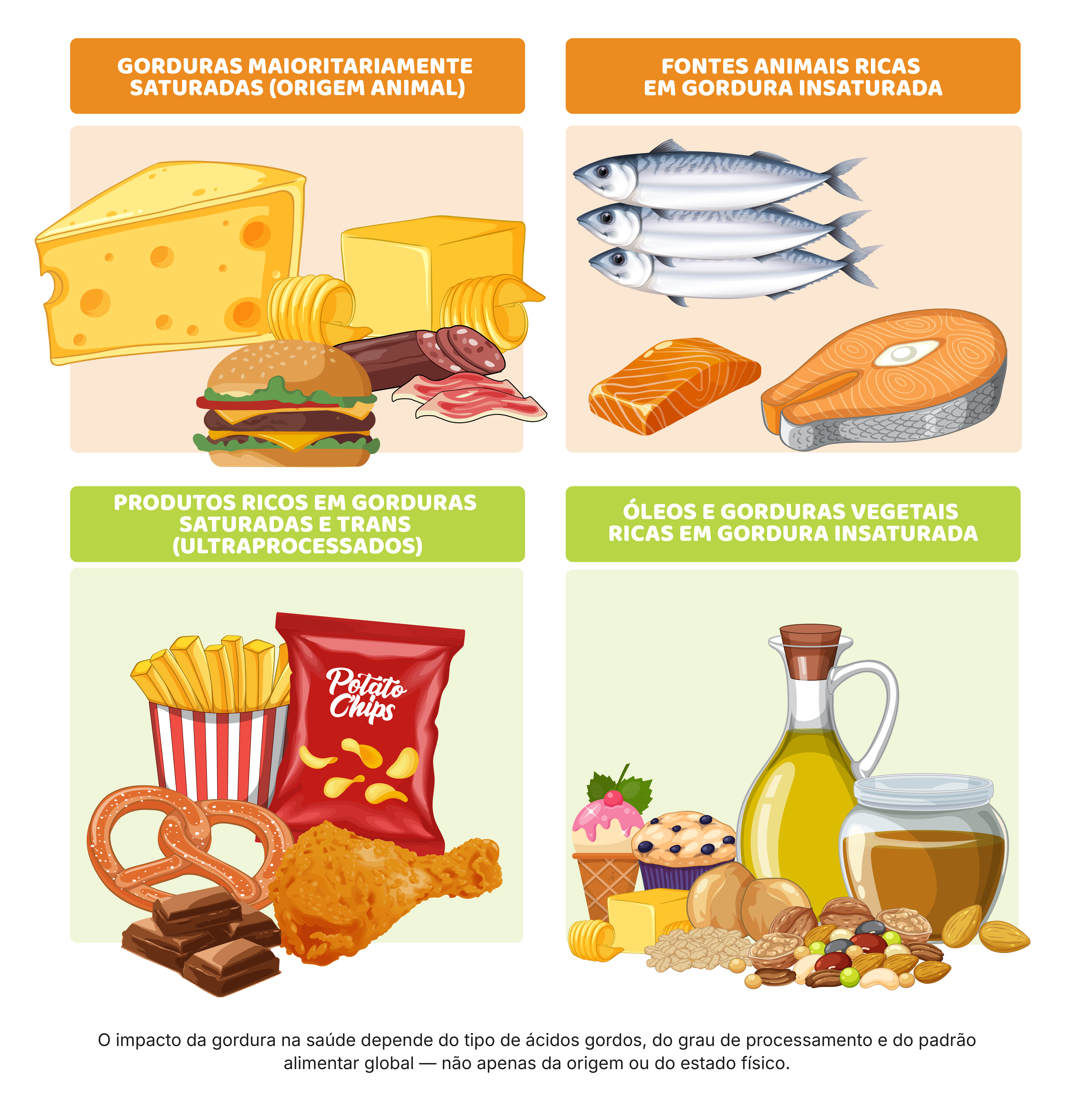 Funções da gordura no corpo